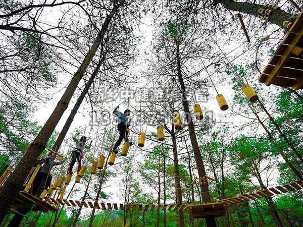 叢林穿越設備的搭建對環境有影響嗎？